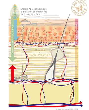 Organic Apoteke Improves Skin Function